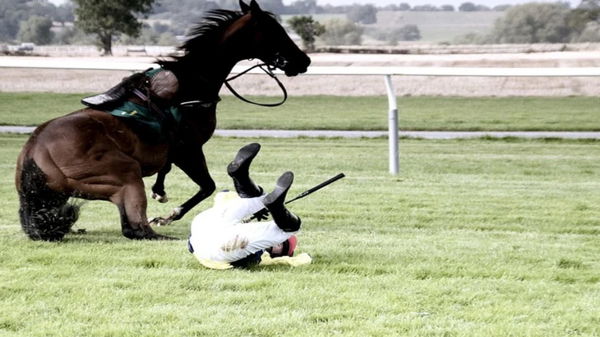 Horse racing accident