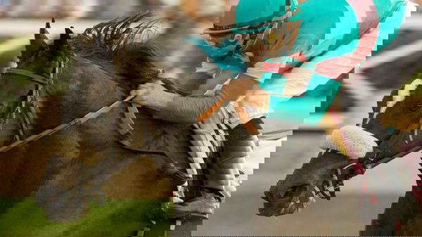 feature-image