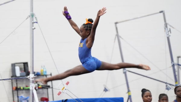 Talladega College gymnastics