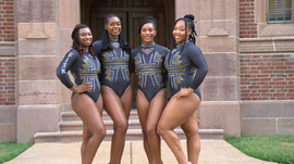 Fisk Gymnastics