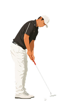 Newsletter Hub Banner