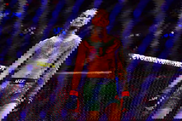 feature-image