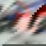 article-image