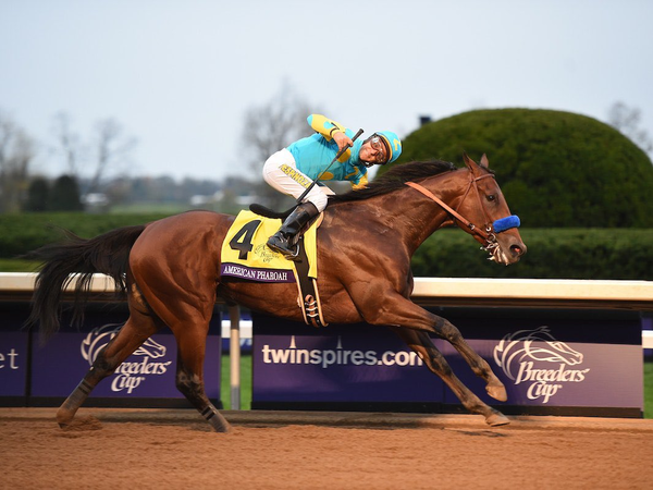 American Pharaoh