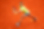 article-image