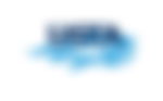 article-image