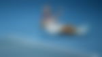 article-image