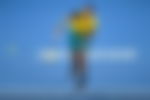 article-image