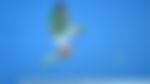 article-image