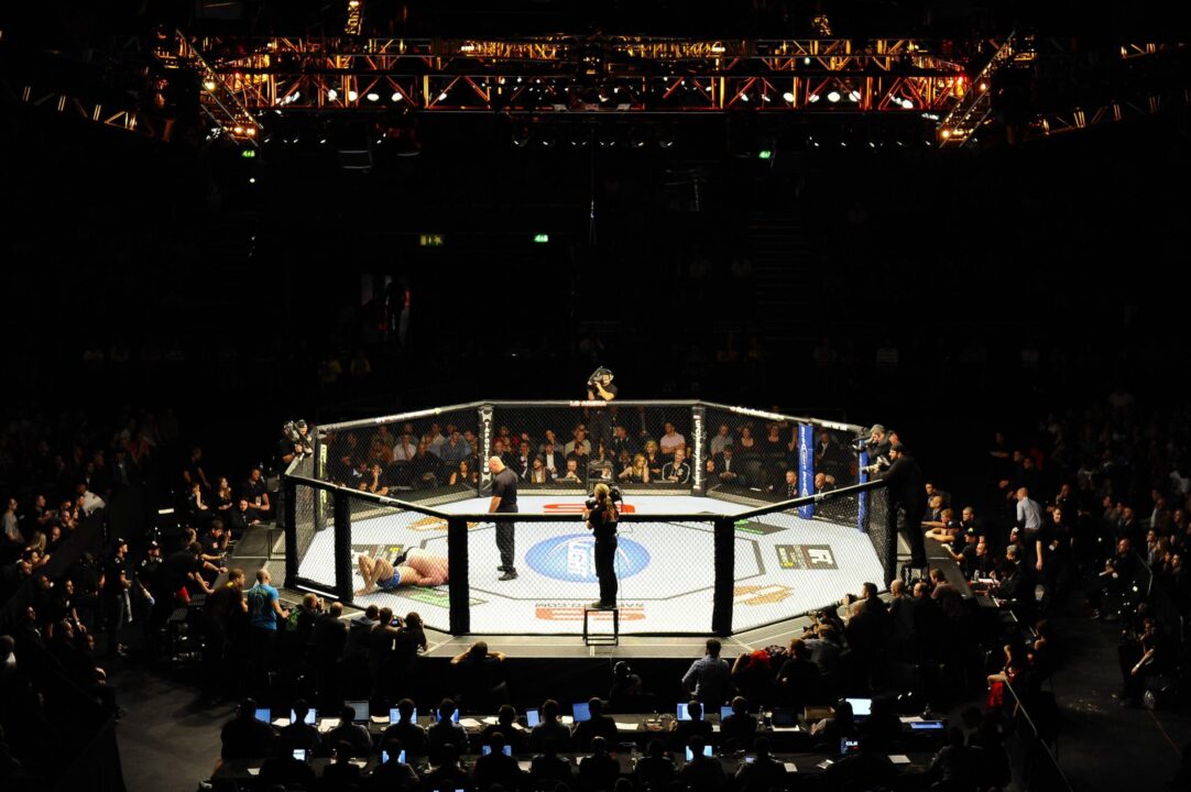 UFC Octagon Cage