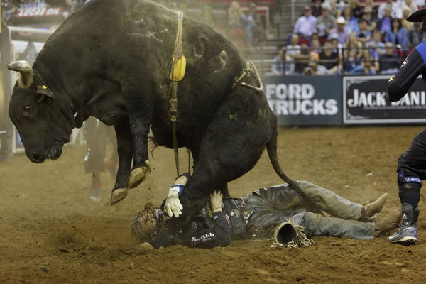 March 28, 2014 &#8211; Fresno, CS, USA &#8211; March 28, 2014 Fresno, CA &#8211; Professional Bull Rider Ty Pozzobon i