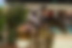 article-image