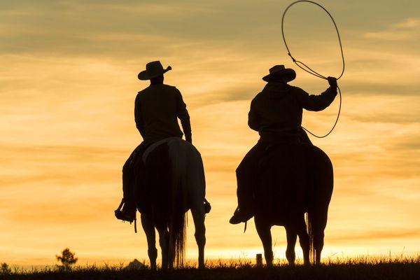 Two cowboys riding on horseback in a Prairie landscape at sunset one swinging lasso Two cowboys ri