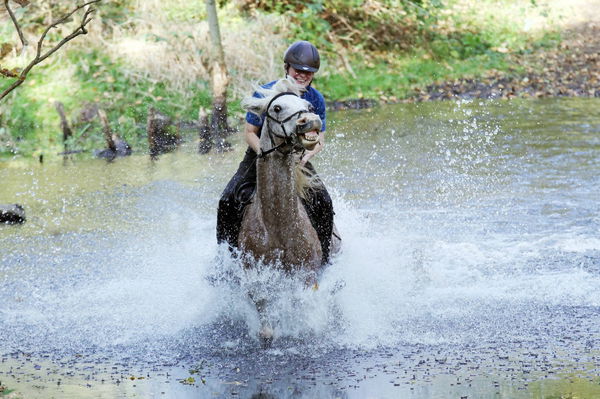 15 10 2017 Zernikow Brandenburg GER Frau reitet auf ihrem Pferd im Galopp durch einen See Pfe