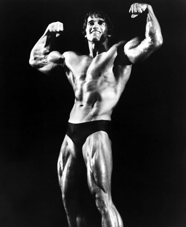 STAY HUNGRY, Arnold Schwarzenegger, 1976 Courtesy Everett Collection !ACHTUNG AUFNAHMEDATUM GESCH?TZT! PUBLICATIONxINxGE