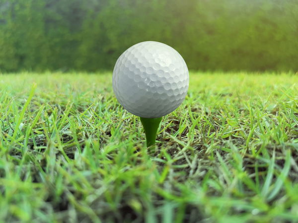 Golf ball on a tee against the golf course Morning, Golf ball on a tee against the golf course Morning, Golf ball on a t