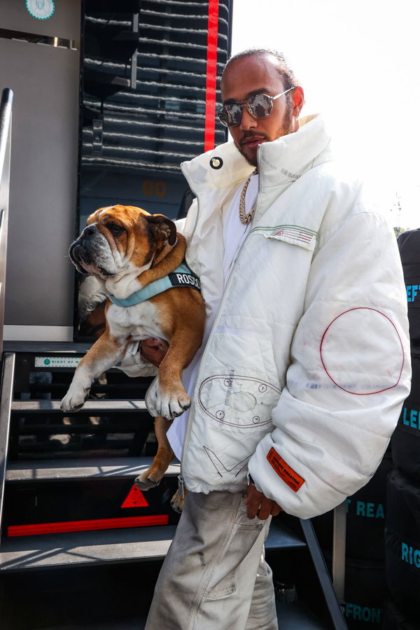 HAMILTON Lewis (gbr), Mercedes AMG F1 GP W12 E Performance, and his dog Roscoe during the Formula 1 Heineken Gran Premio