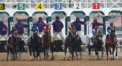 The start of the Breeders Cup Fillies race at the Breeders Cup Championships in Del Mar racetrack in Del Mar California.
