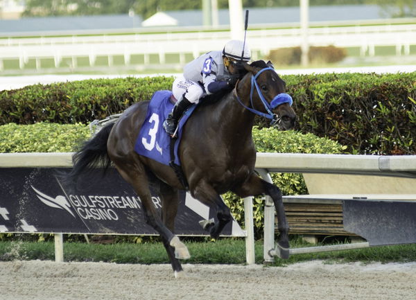 January 1, 2022, Hallandale Beach, FL, USA: January 01, 2022: Simplification 3, ridden by jockey Javier Castellano wins