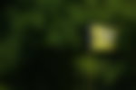 Image for PGA Championship 2026 Makes One Thing Clear, Proximity Comes With a Brutal Price
Tag