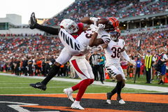 NFL, American Football Herren, USA Arizona Cardinals at Cincinnati Bengals, Aug 12, 2022; Cincinnati, Ohio, USA; Cincinn