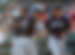 article-image