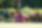 article-image