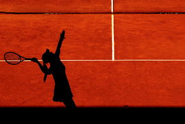 Mandatory Credit: Photo by Ella Ling/Shutterstock (13888360cx) Silhouette of Anna Kalinskaya of Russia in action Mutua M