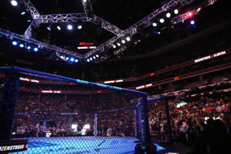 UFC Octagon
