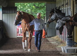 Syndication: The Courier-Journal Trainer Bob Baffert walks Justify around the barn at Belmont Park after the horse arriv