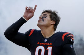 NFL, American Football Herren, USA Houston Texans at Cincinnati Bengals Nov 12, 2023; Cincinnati, Ohio, USA; Cincinnati