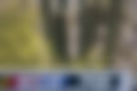 Image for NHRA Reportedly Taking A Page From NASCAR $7.7 Billion Deal Amidst Impending
Media Deal