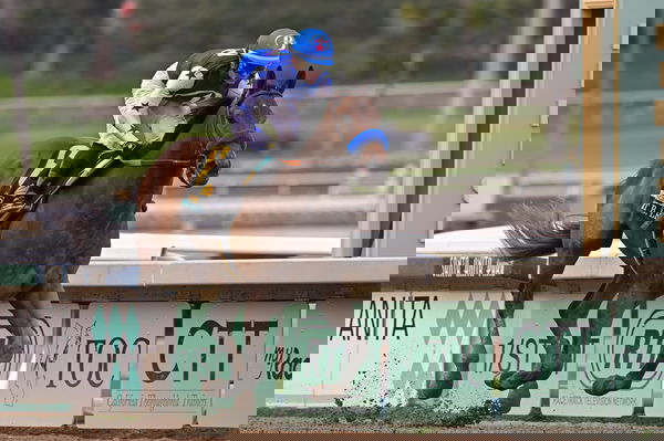 feature-image