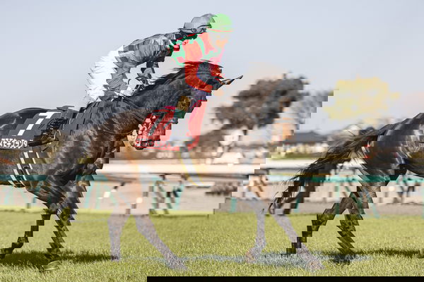 feature-image