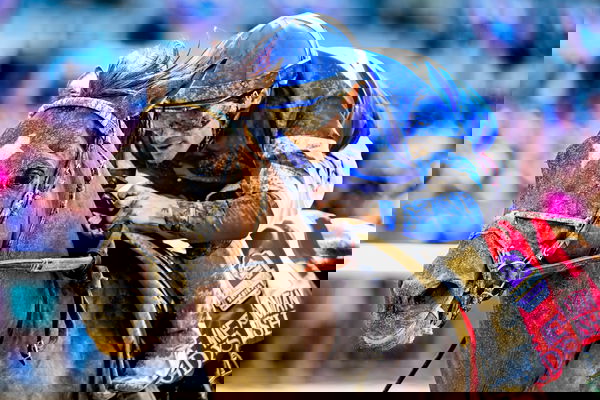 feature-image