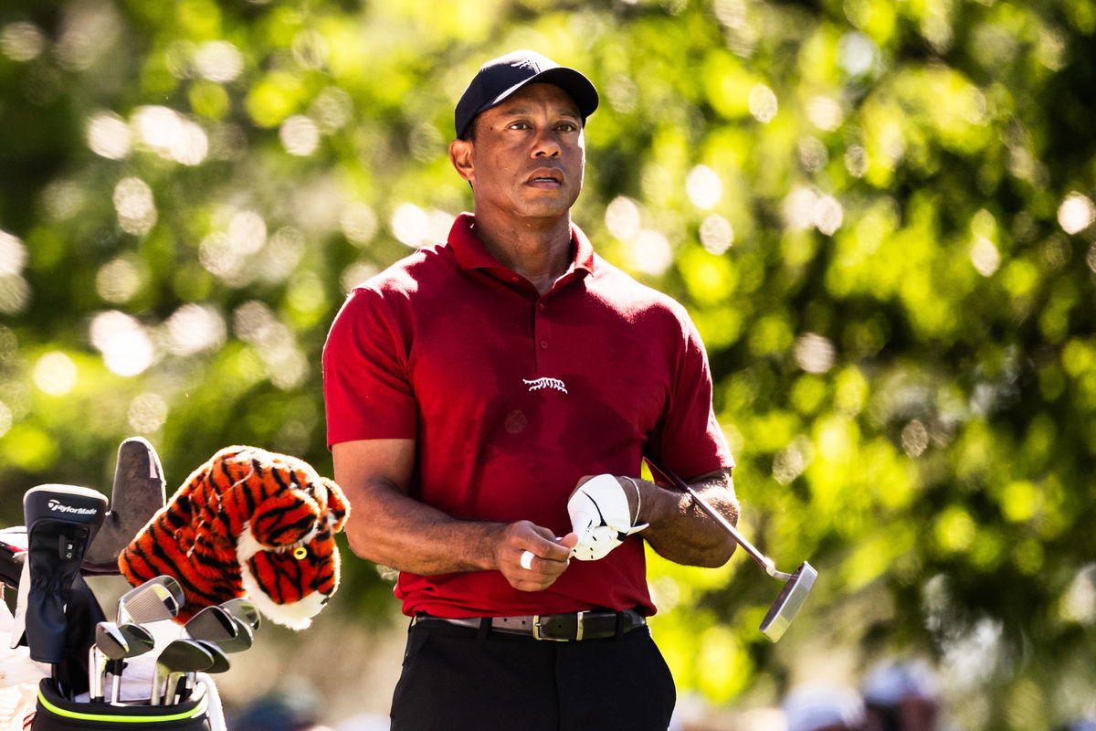 Legal Expert Reveals if Tiger Woods Will Face More Jail Time Given History With DUI Crashes