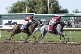 Horse Racing 2024: Prince of Wales Stakes Day SEP 10 September 10, 2024, Fort Erie, On, USA: Frac Amour (1) ridden by Ju