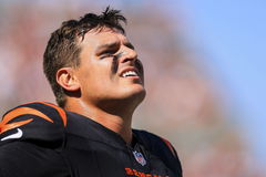 NFL, American Football Herren, USA Baltimore Ravens at Cincinnati Bengals Oct 6, 2024; Cincinnati, Ohio, USA; Cincinnati