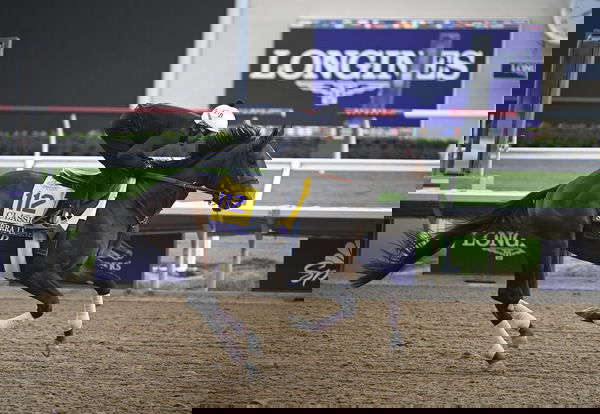 feature-image