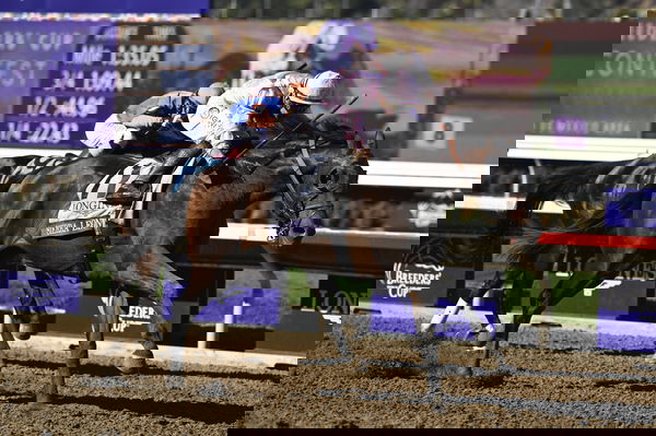 feature-image