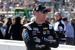MARTINSVILLE, VA &#8211; NOVEMBER 03: Kyle Busch ( 8 Richard Childress Racing Cheddar s Scratch Kitchen Chevrolet) talks with