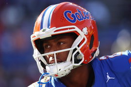 NCAA, College League, USA Football: Louisiana State at Florida Nov 16, 2024; Gainesville, Florida, USA; Florida Gators q