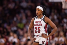 November 17, 2024: South Carolina Gamecocks guard Raven Johnson (25) during the first half against the East Carolina Lad