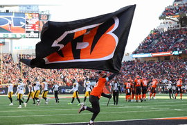 NFL: DEC 01 Steelers at Bengals