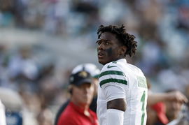 NFL: DEC 15 Jets at Jaguars