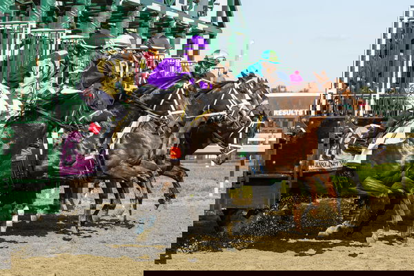 feature-image