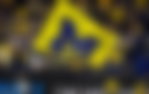 The Michigan Wolverines