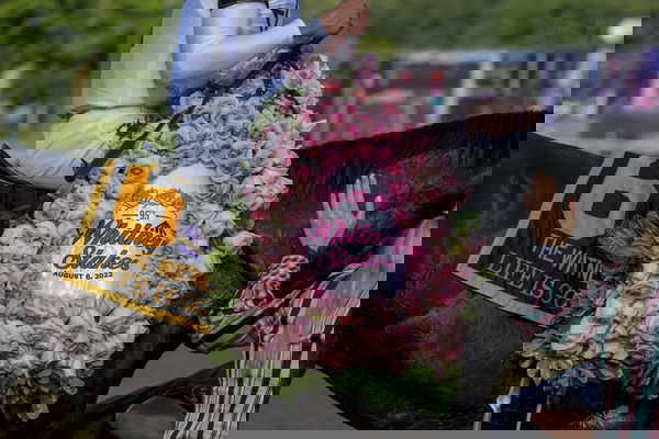 feature-image