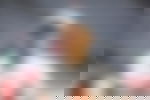 article-image