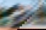 article-image
